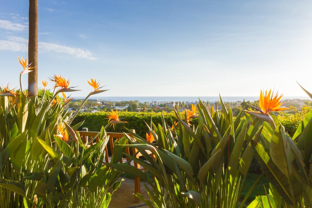 Grand Pacific Palisades Resort Carlsbad Extérieur photo